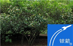 章丘金屬顏料鋁銀漿廠區風采01.jpg 章丘金屬顏料鋁銀漿廠區風采01.jpg