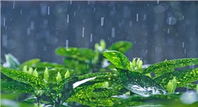 雨天.jpg 雨天.jpg